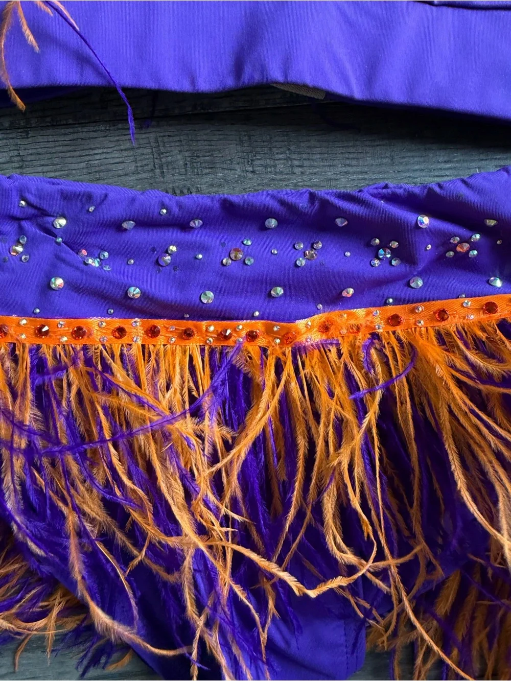 Kids Purple and Orange Feather Dance Costume Top and Bottom Set Custom Made